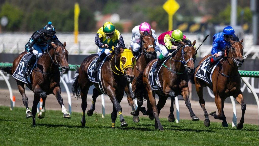 Horse racing betting